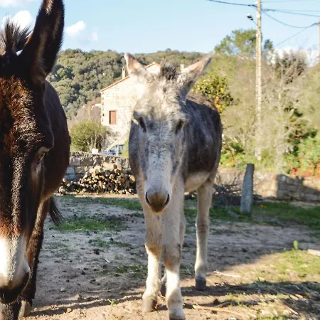 Two-bedroom Holiday In Figari * Figari (Corsica)